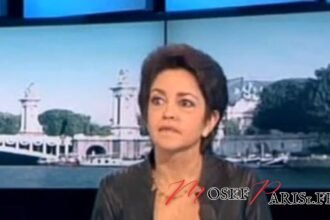 Judith Waintraub famille : Perspectives et Réflexions Familiales