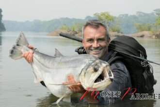 Cyril Chauquet et sa famille: Explorez Leur Vie Ensemble.