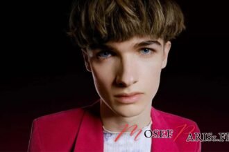 Pierre de Maere Taille: Guide complet et conseils pratiques