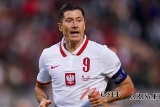 Robert Lewandowski grand mere : L'héritage familial du célèbre footballeur