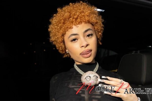 Ice Spice Origine: Découvrez l'histoire derrière ce mélange unique