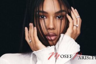 Ndiaye Salvadori Wikipédia : Découvrez leur Parcours et Réalisations