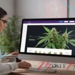 Meilleur Site de CBD : Le Guide Ultime pour Faire le Bon Choix