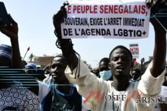 Cet Après-Midi : Conseils pour Passer un Bon Moment