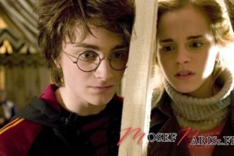 Programme TV ce Soir : Tout Ce Qu'il Faut Savoir