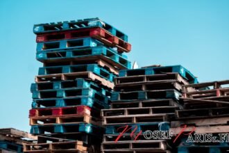 Rachat de Palette : Prix, Types de Palettes et Avantages du Recyclage