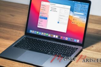 macOS Big Sur en France 2024 : Installation, Avis Utilisateurs et Comparaisons