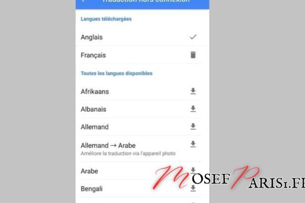 Google Traduction Anglais Français Gratuit Rapide : La Meilleure Outil de Traduction Instantanée