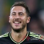 Eden Hazard Origine : Le Parcours d'un Footballeur de Légende"