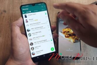 WhatsApp Changement de Téléphone : Astuces et Conseils pour une Transition Réussie