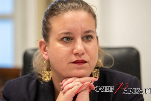 Rachel Garrat-Valcarcel : Journaliste Militante Pour Les Transidentités Dans Les Médias
