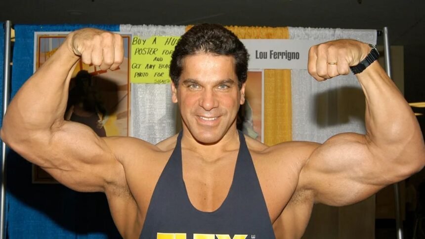 Lou Ferrigno Taille