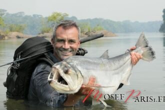 Cyril Chauquet Fortune